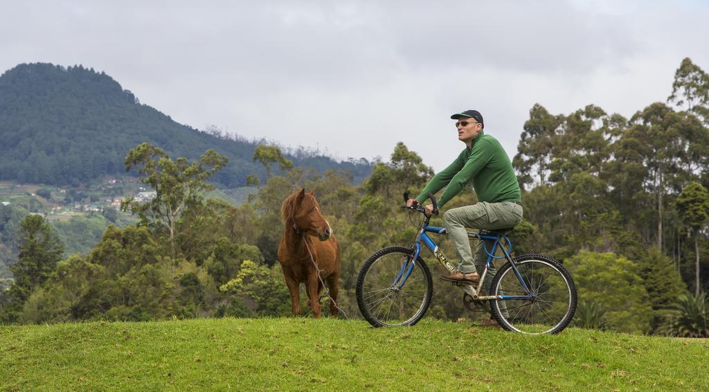 Hill Rise Luxury Villa & Stables By Edwards Collection Nuwara Eliya Bagian luar foto