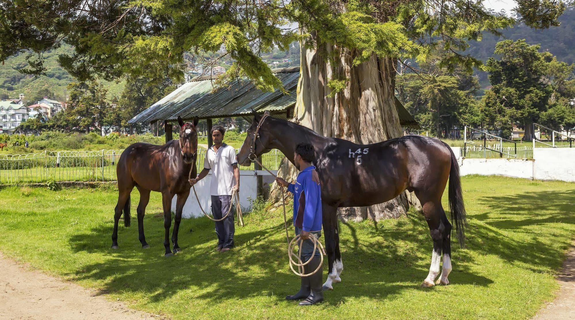 Hill Rise Luxury Villa & Stables By Edwards Collection Nuwara Eliya Bagian luar foto